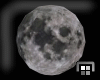 [N]Moon