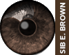 SIB - Unisex Eyes Brown