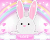 ✧.° toy bunny