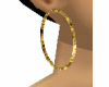 gold Hoop Earrings *DIM*