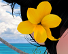 Hair Flower Right