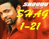 Shaggy It Wasn't Me