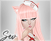 Nurse Kitty Cat Bundle Set Kawaii Cute and Adorable