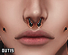 後 SEPTUM x DIMPLES II