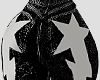 W. STAR BAGGY