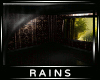 [Rains] Summer Rain