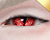 ✶Drache Eyes Ruby