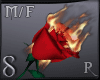 -S- Burning Red Rose R