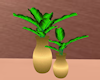 Serenity+Potted+Plant
