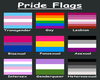 -B- Pride Flag Picture