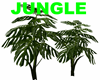 JUNGLE TROPICAL PLANT