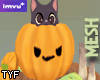 pumpkin - Cat