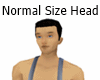 Normal Size Head