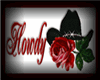 Cowgirl-Cowboy rose