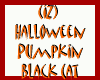 Pumpkin Black Cat