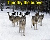 Timothy the buoys