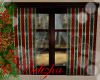 CHRISTMAS WINDOW