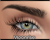m| Vivi brows