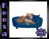 Bulldog Pet Bed