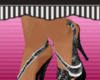 {5STR} Classy Zebra