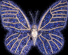 Diamond sapph Butterfly