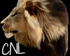 [CNL]Lion