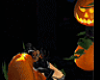 pumkin patch fun