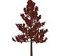 Autumn Tree