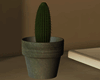 T!Cactus