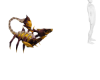 Bone Scorpion Creature