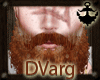 Mature ginger king beard