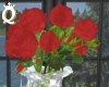 Q. Angel Glitz Red Roses
