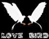 [RN] Love Bird - Animate