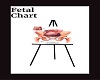 Fetal Chart