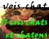 voix  chat