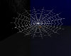 (SS)SpiderWeb