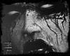 #corpsepaint