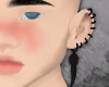 Ears + Earrings