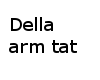 Sexy Della Arm tat 