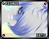 [Pets] Ferre | hair v5