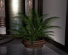 *l* Potted Plant