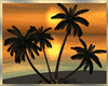 Sunset Palm /Rocks
