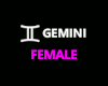 H@K Gemini Zodiac