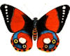 Red Butterflys 2