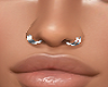 4 Nose Jewelry Hoops
