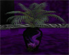 Purple Rose Vase