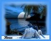 picture amore