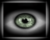 Eyes5 Green [ M/F ]