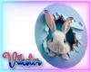 v the rabbit hole