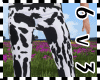 6v3| Cow Pants